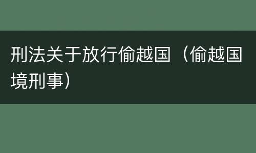 刑法关于放行偷越国（偷越国境刑事）