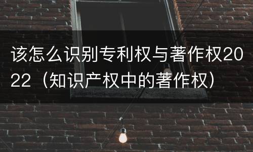 该怎么识别专利权与著作权2022（知识产权中的著作权）