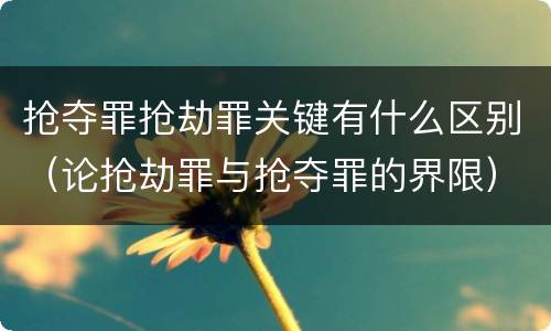抢夺罪抢劫罪关键有什么区别（论抢劫罪与抢夺罪的界限）