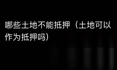 哪些土地不能抵押（土地可以作为抵押吗）