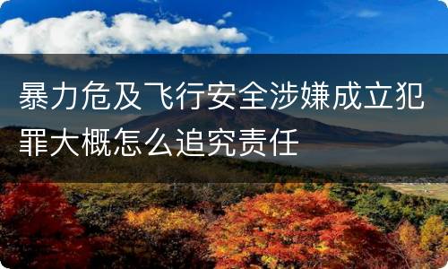 暴力危及飞行安全涉嫌成立犯罪大概怎么追究责任