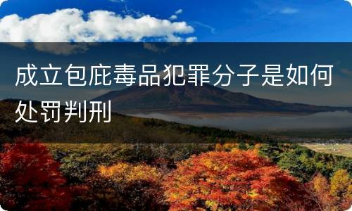 成立包庇毒品犯罪分子是如何处罚判刑