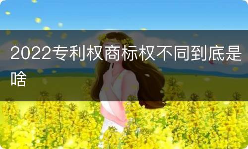 2022专利权商标权不同到底是啥