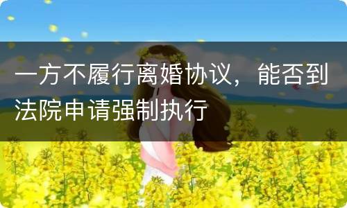 一方不履行离婚协议，能否到法院申请强制执行