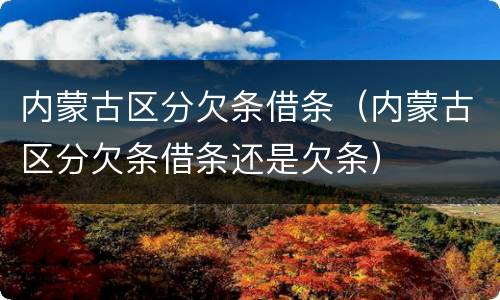 内蒙古区分欠条借条（内蒙古区分欠条借条还是欠条）