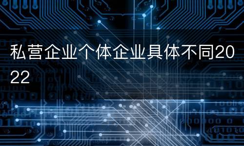 私营企业个体企业具体不同2022