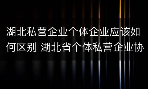 湖北私营企业个体企业应该如何区别 湖北省个体私营企业协会