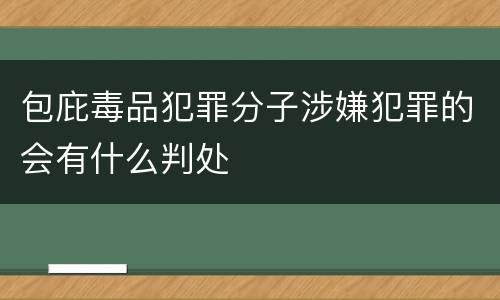 包庇毒品犯罪分子涉嫌犯罪的会有什么判处