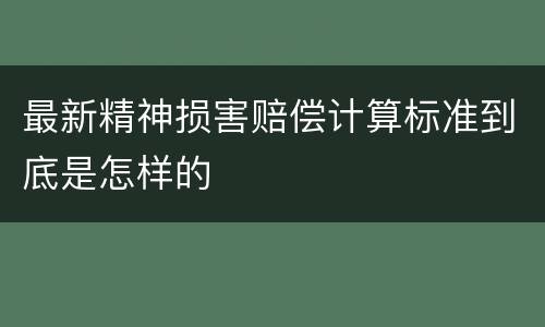 最新精神损害赔偿计算标准到底是怎样的