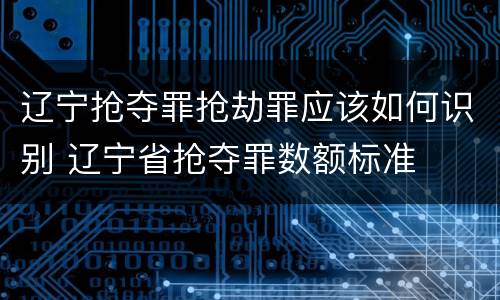 辽宁抢夺罪抢劫罪应该如何识别 辽宁省抢夺罪数额标准