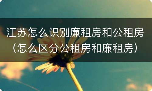 江苏怎么识别廉租房和公租房（怎么区分公租房和廉租房）