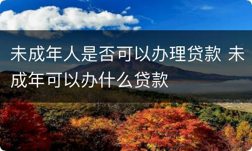 未成年人是否可以办理贷款 未成年可以办什么贷款