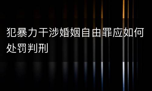 犯暴力干涉婚姻自由罪应如何处罚判刑