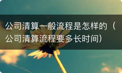 公司清算一般流程是怎样的（公司清算流程要多长时间）