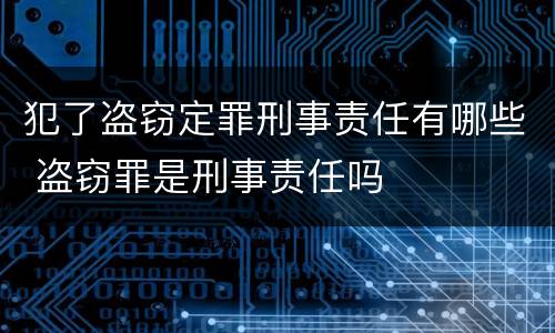 犯了盗窃定罪刑事责任有哪些 盗窃罪是刑事责任吗