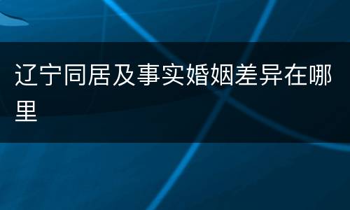 辽宁同居及事实婚姻差异在哪里