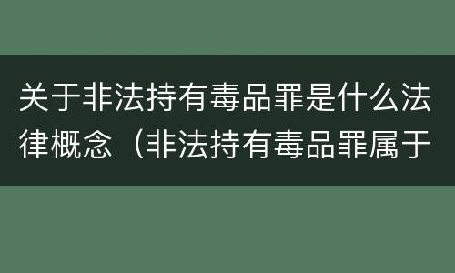 关于非法持有毒品罪是什么法律概念（非法持有毒品罪属于什么类型）