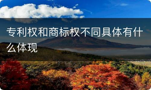 专利权和商标权不同具体有什么体现