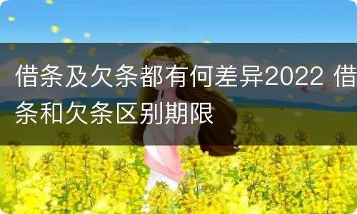 借条及欠条都有何差异2022 借条和欠条区别期限