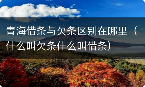 青海借条与欠条区别在哪里（什么叫欠条什么叫借条）