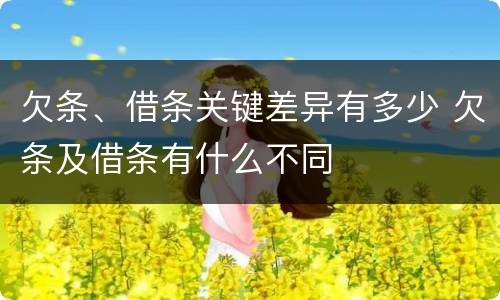 欠条、借条关键差异有多少 欠条及借条有什么不同