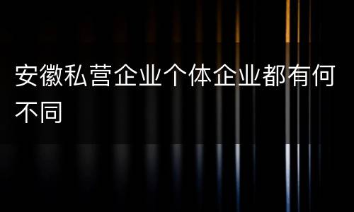 安徽私营企业个体企业都有何不同