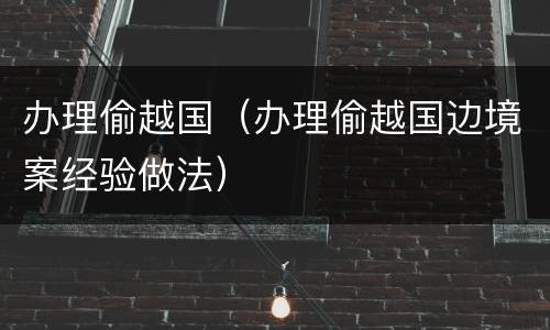 办理偷越国（办理偷越国边境案经验做法）