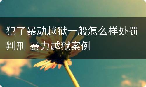 犯了暴动越狱一般怎么样处罚判刑 暴力越狱案例