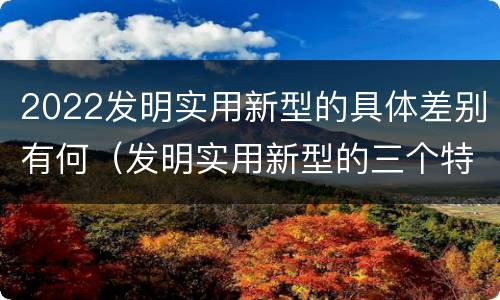 2022发明实用新型的具体差别有何（发明实用新型的三个特点）