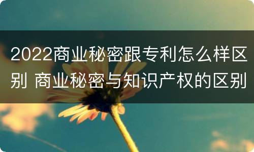 2022商业秘密跟专利怎么样区别 商业秘密与知识产权的区别
