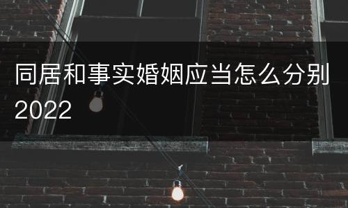 同居和事实婚姻应当怎么分别2022