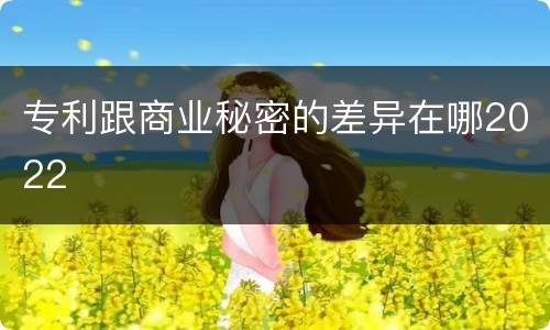 专利跟商业秘密的差异在哪2022