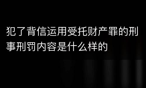 犯了背信运用受托财产罪的刑事刑罚内容是什么样的