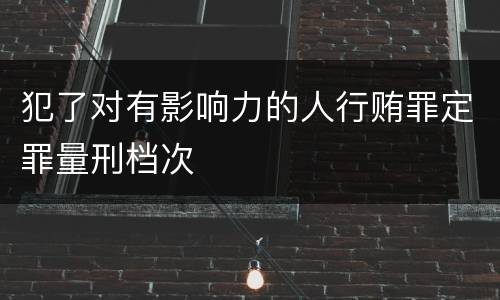 犯了对有影响力的人行贿罪定罪量刑档次