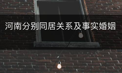 河南分别同居关系及事实婚姻