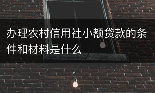 办理农村信用社小额贷款的条件和材料是什么