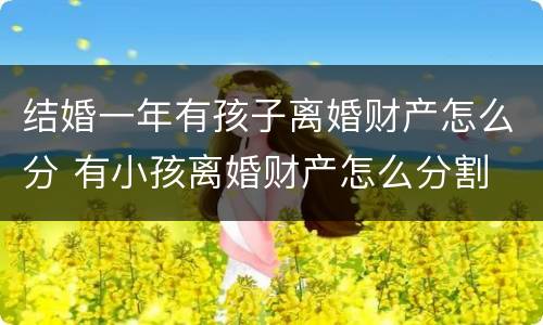 结婚一年有孩子离婚财产怎么分 有小孩离婚财产怎么分割