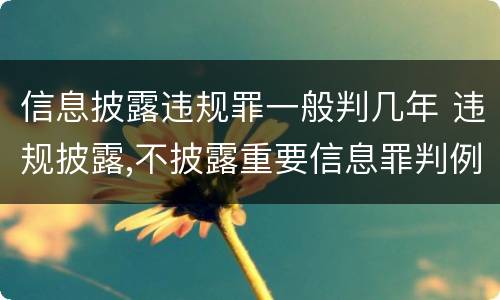 信息披露违规罪一般判几年 违规披露,不披露重要信息罪判例