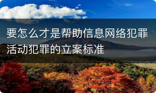 要怎么才是帮助信息网络犯罪活动犯罪的立案标准