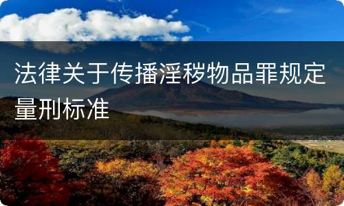 法律关于传播淫秽物品罪规定量刑标准
