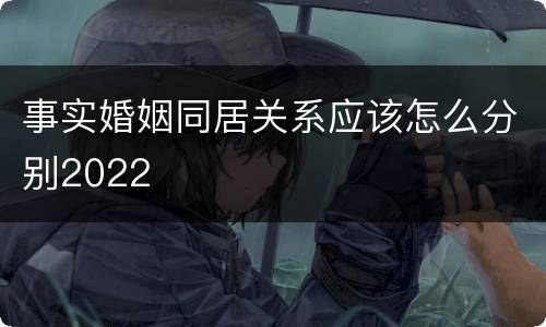 事实婚姻同居关系应该怎么分别2022