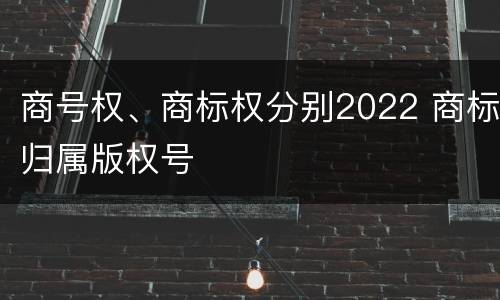 商号权、商标权分别2022 商标归属版权号