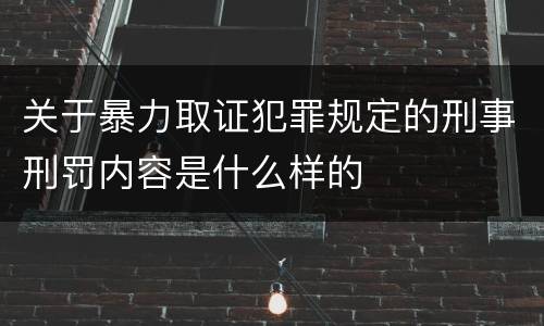 关于暴力取证犯罪规定的刑事刑罚内容是什么样的