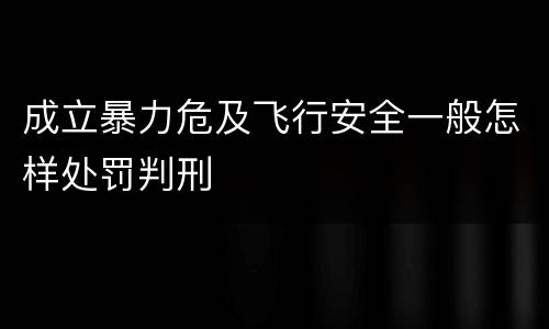 成立暴力危及飞行安全一般怎样处罚判刑