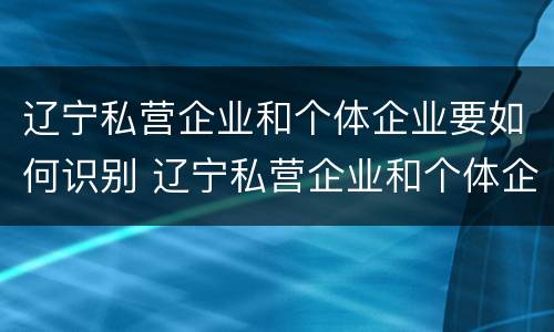 辽宁私营企业和个体企业要如何识别 辽宁私营企业和个体企业要如何识别企业