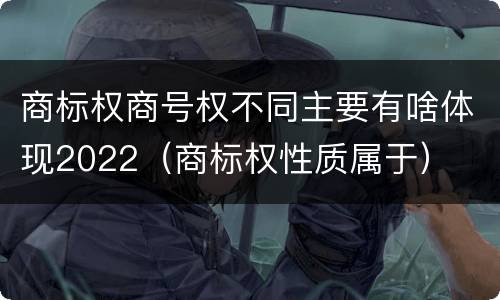 商标权商号权不同主要有啥体现2022（商标权性质属于）