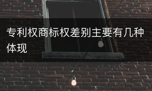 专利权商标权差别主要有几种体现
