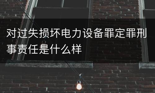 对过失损坏电力设备罪定罪刑事责任是什么样