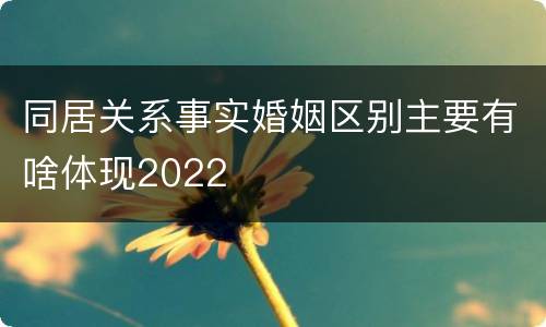 同居关系事实婚姻区别主要有啥体现2022