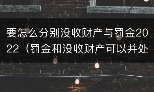 要怎么分别没收财产与罚金2022（罚金和没收财产可以并处吗）